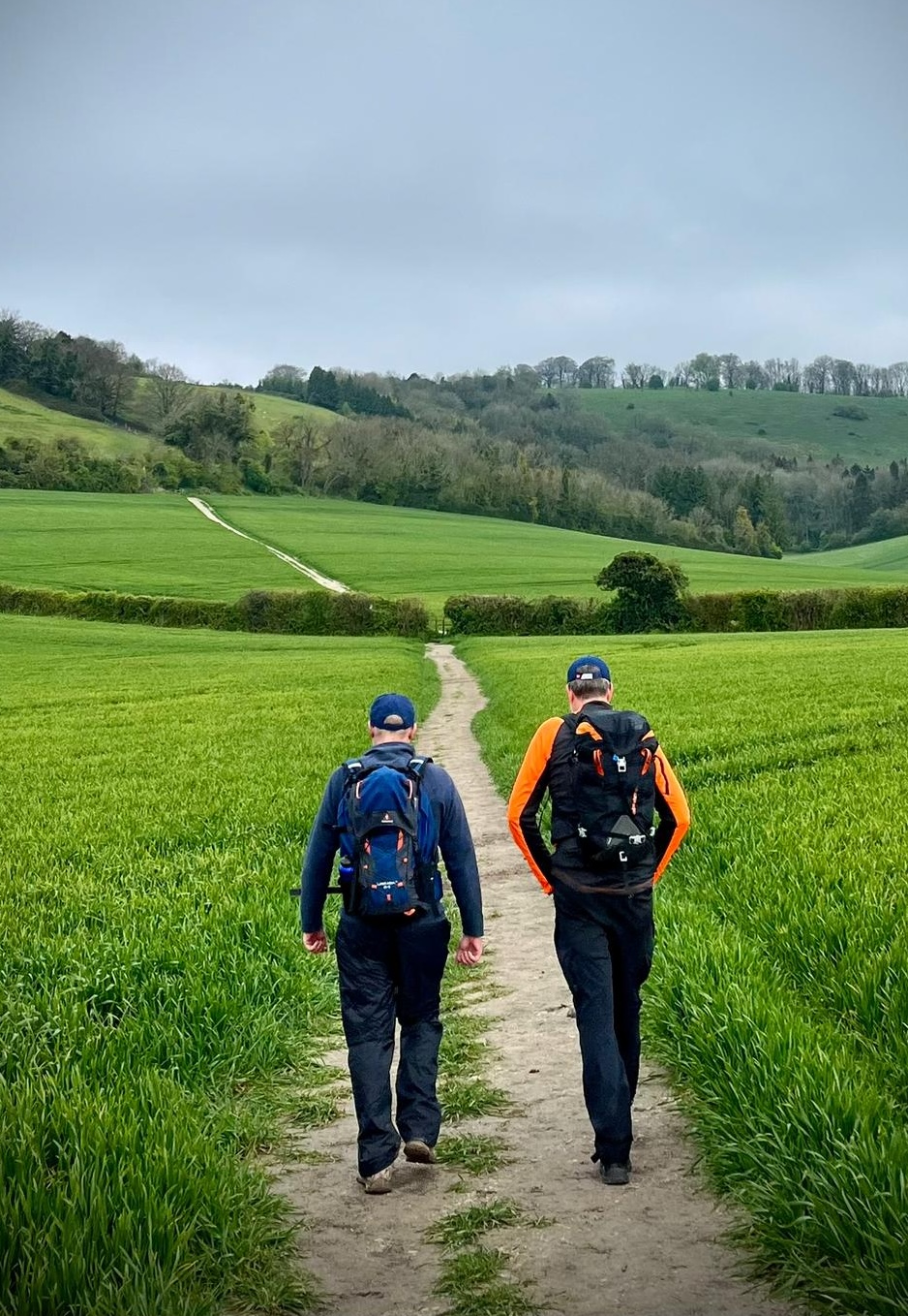 Two people walking together along a tree-lined countryside path